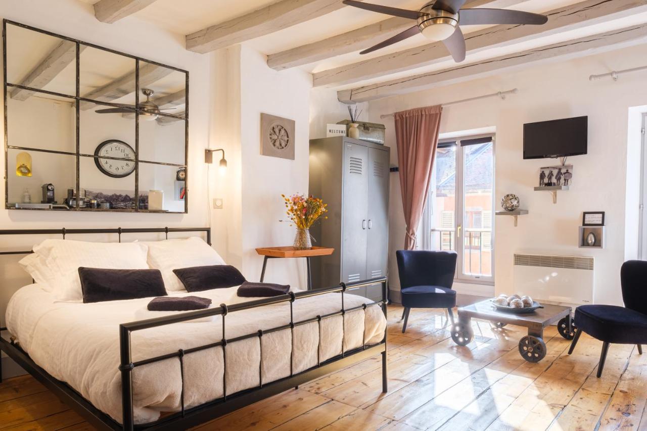 Au Grey D'Annecy, Studio Cosy Au Coeur De La Ville Exterior foto