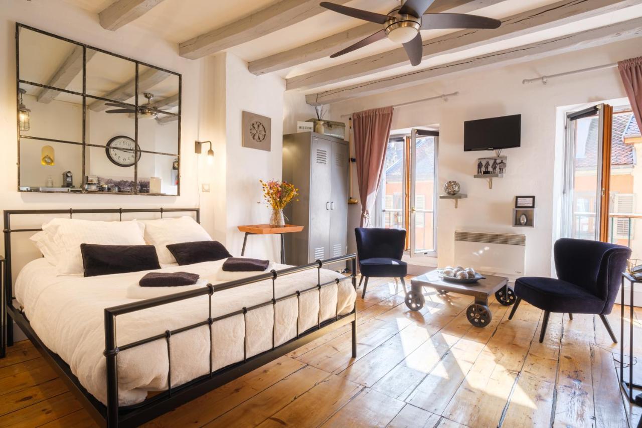 Au Grey D'Annecy, Studio Cosy Au Coeur De La Ville Exterior foto
